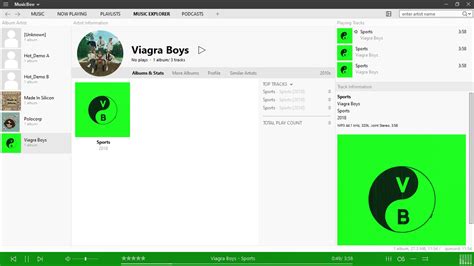 MusicBee 3.5 Download Exe
